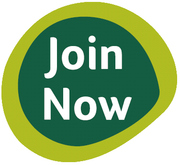 Staff required urgently for this month.