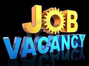 Urgent Part and Full Time Vacancies.