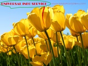 Data Entry Jobs for House Wives / Students / 