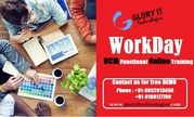Workday HCM Functional Training Free Demo on 16/05/2016 at 6.30 A