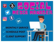 I will be your social media manager for your business