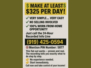 MAKE AT LEAST $325 PER DAY! 